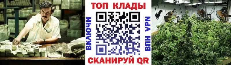 Виды наркотиков купить Калач-на-Дону гидра зеркало  Амфетамин  Гашиш  МЕФ  APVP  КОКАИН 