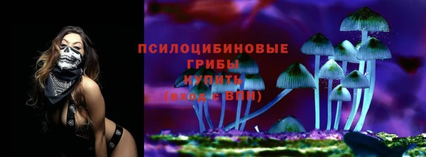 Альфа ПВП Алзамай