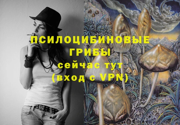 ALPHA-PVP Алексеевка