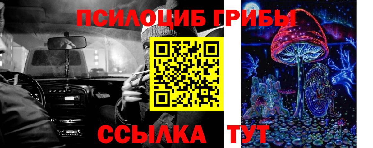Псилоцибиновые грибы Psilocybine cubensis Калач-на-Дону